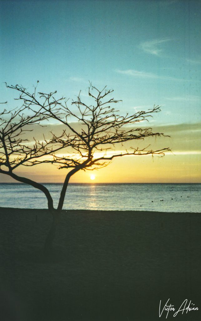 El ocaso de las cosas