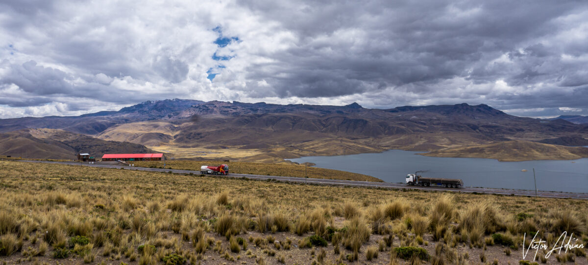 Lo que trae el camino