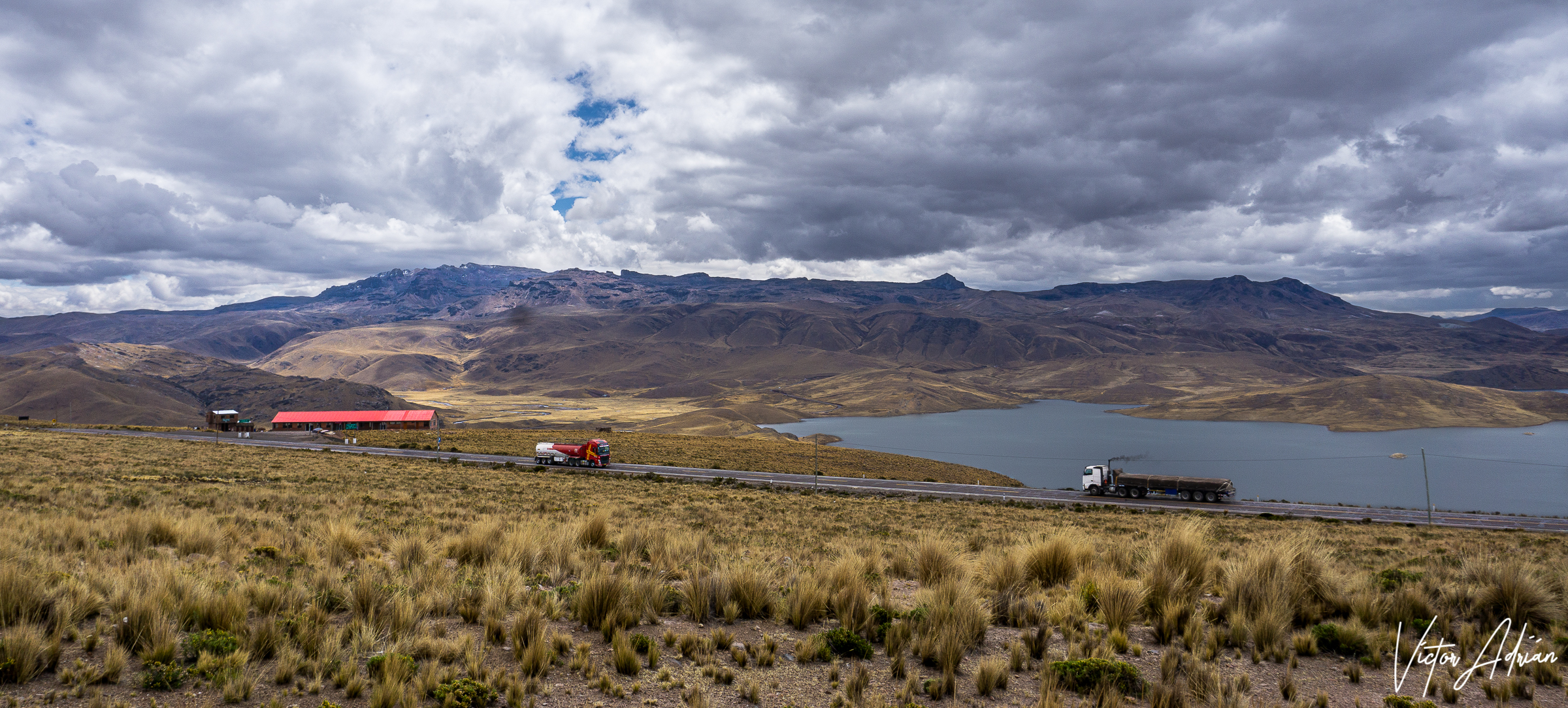 Lo que trae el camino