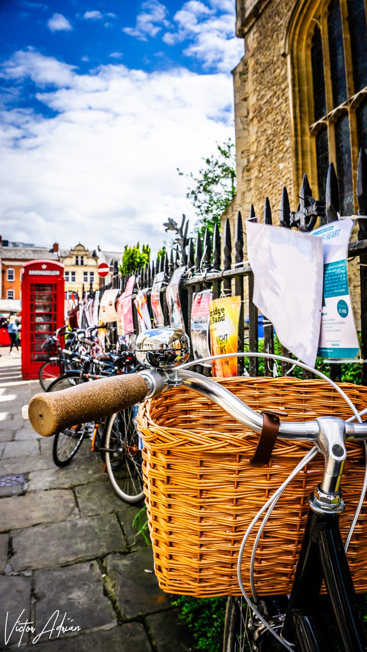 Un día soleado para caminar