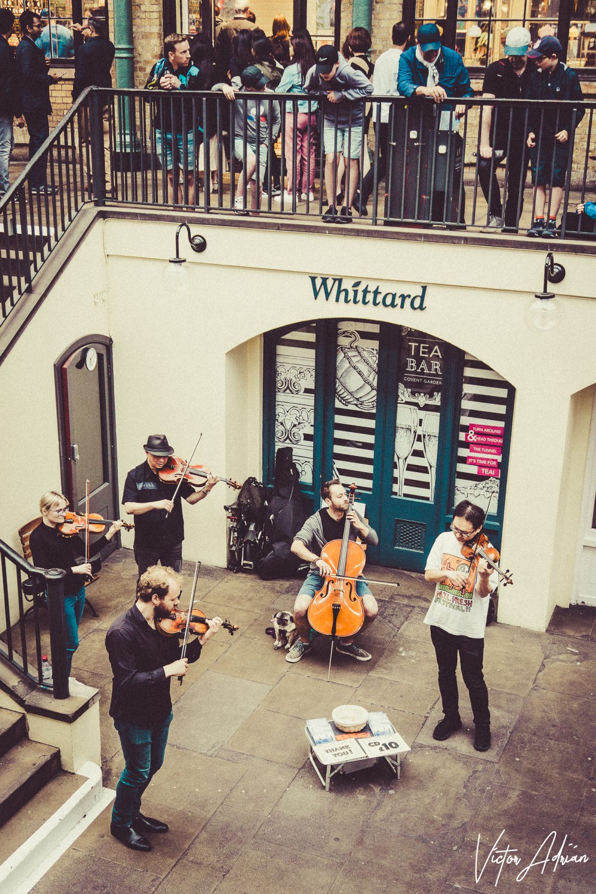 Historias del rejunte