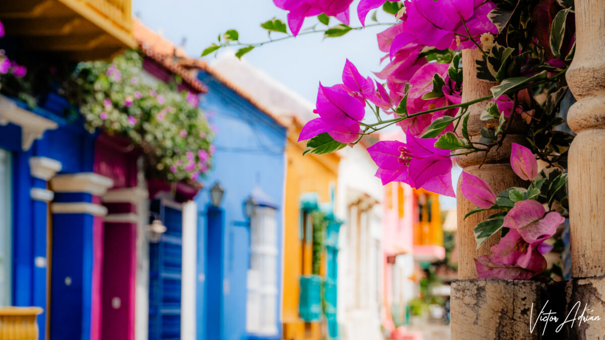 Colores de un sueño infantil