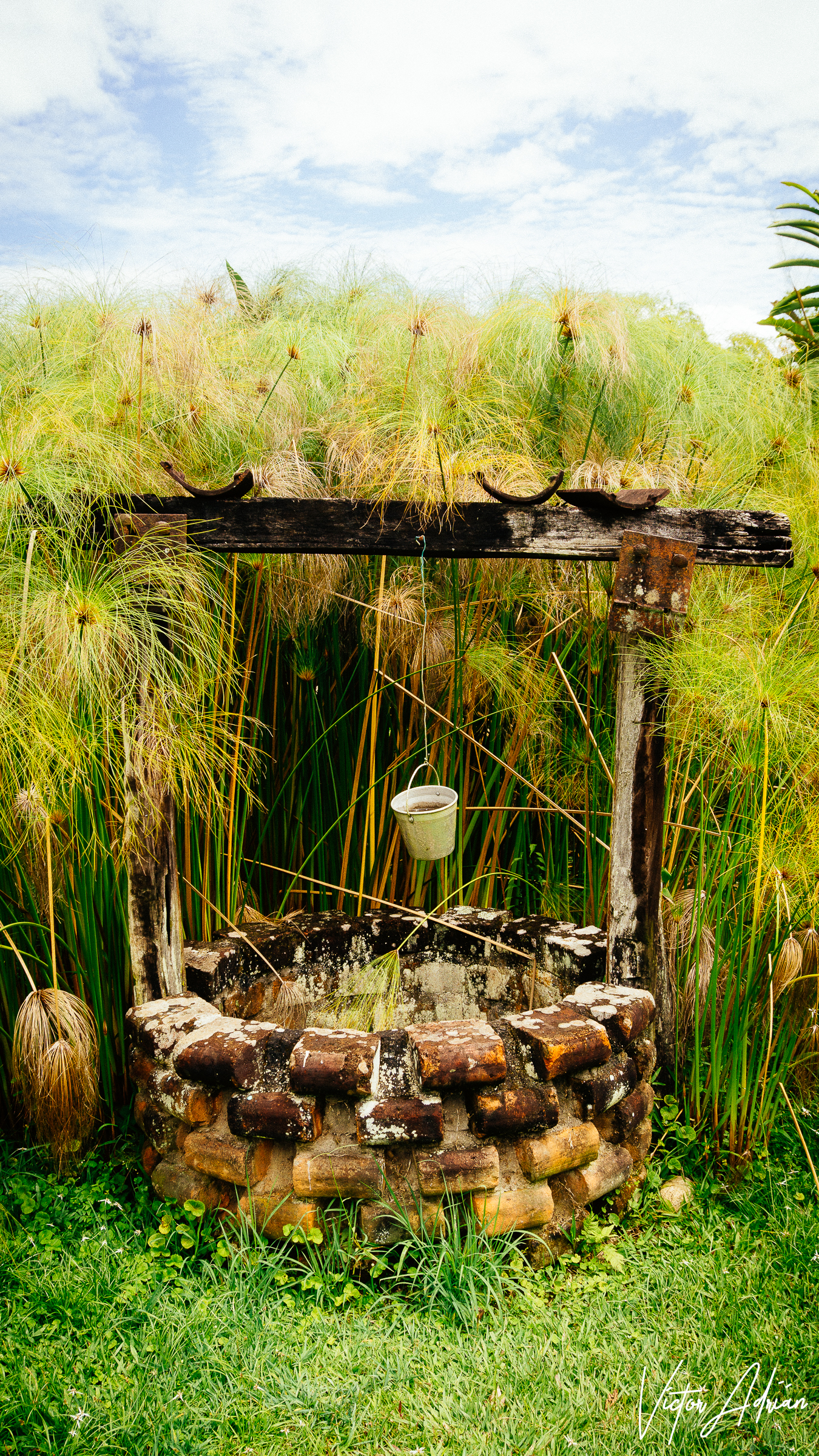 I took a dream back from fear