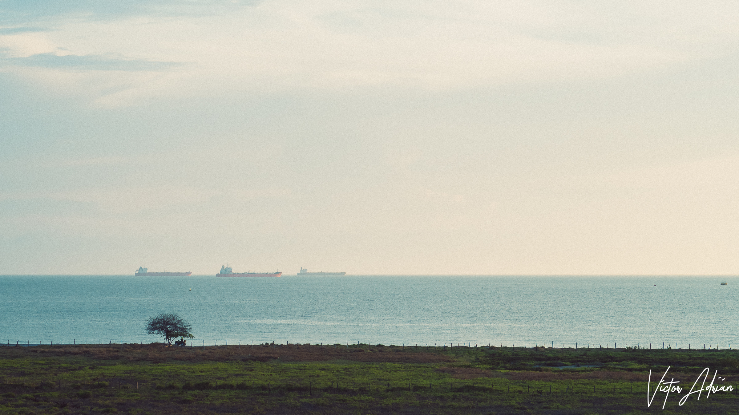 La revolución del andar