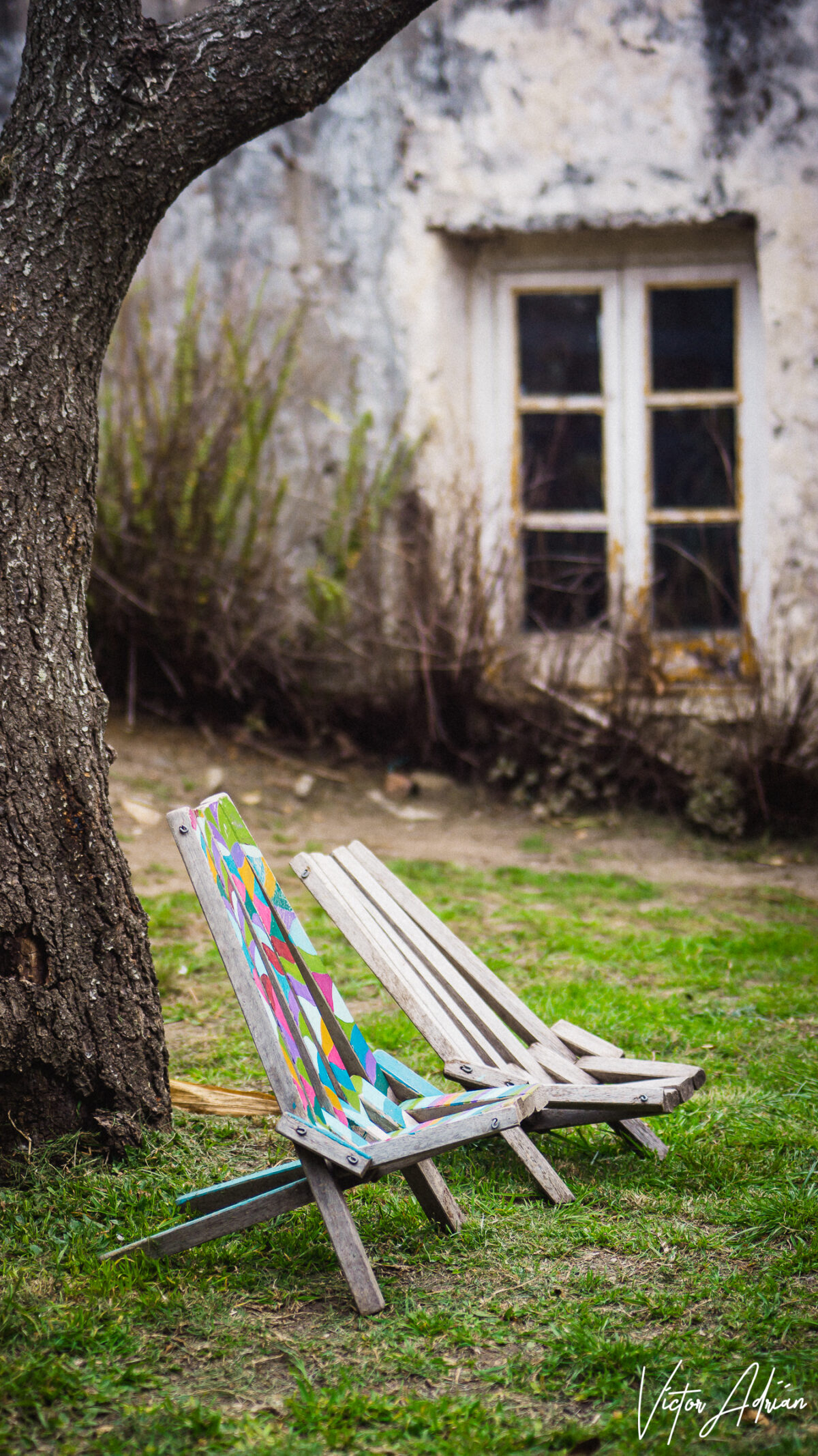 La victoria de los colores