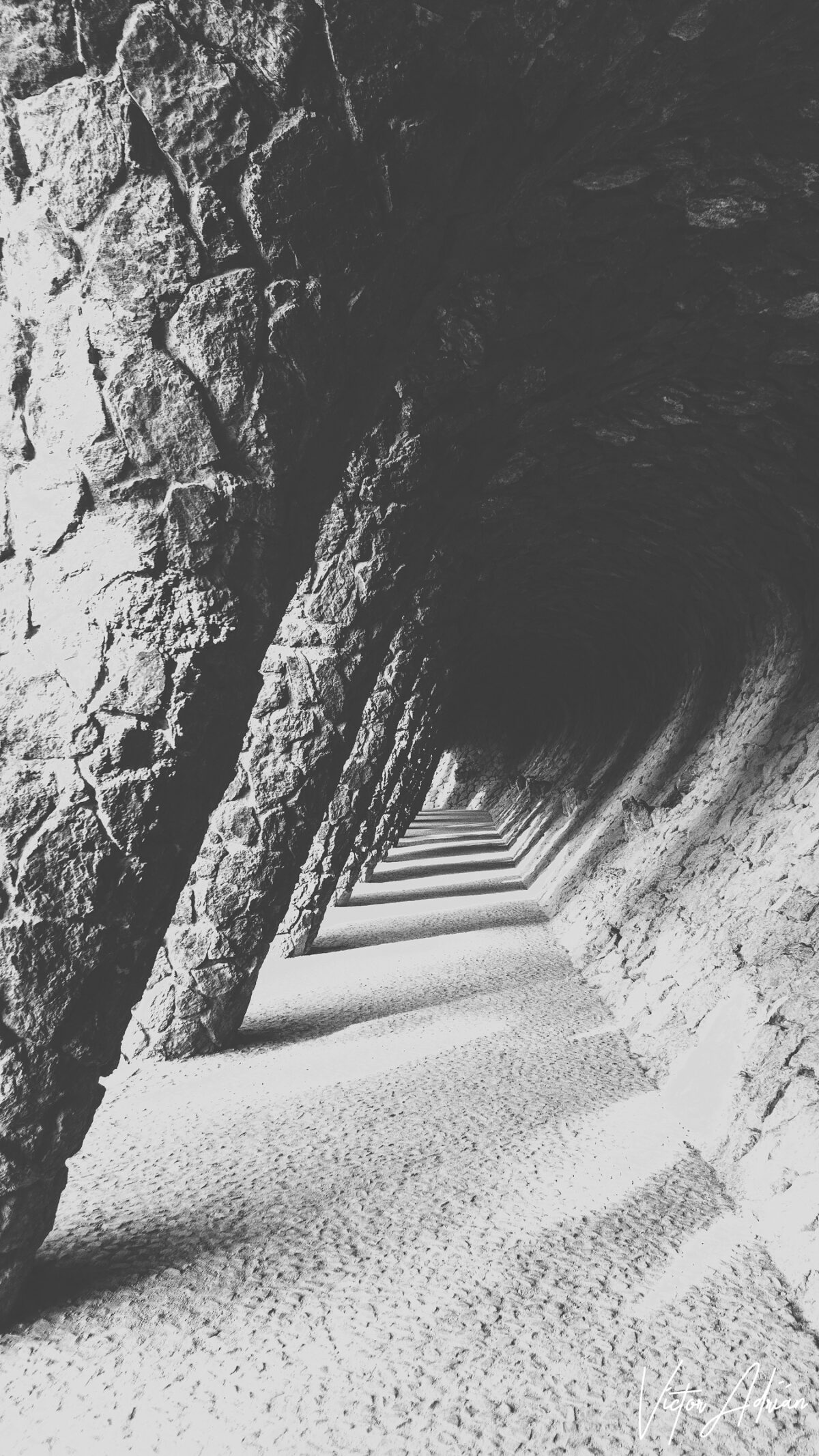 La revancha de la luz