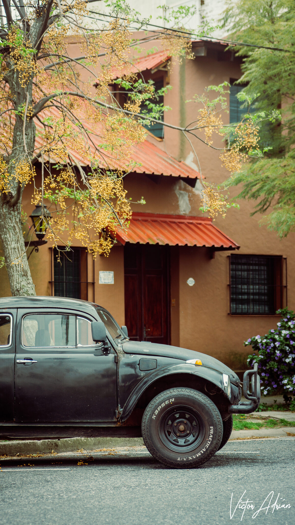 La revolución del andar