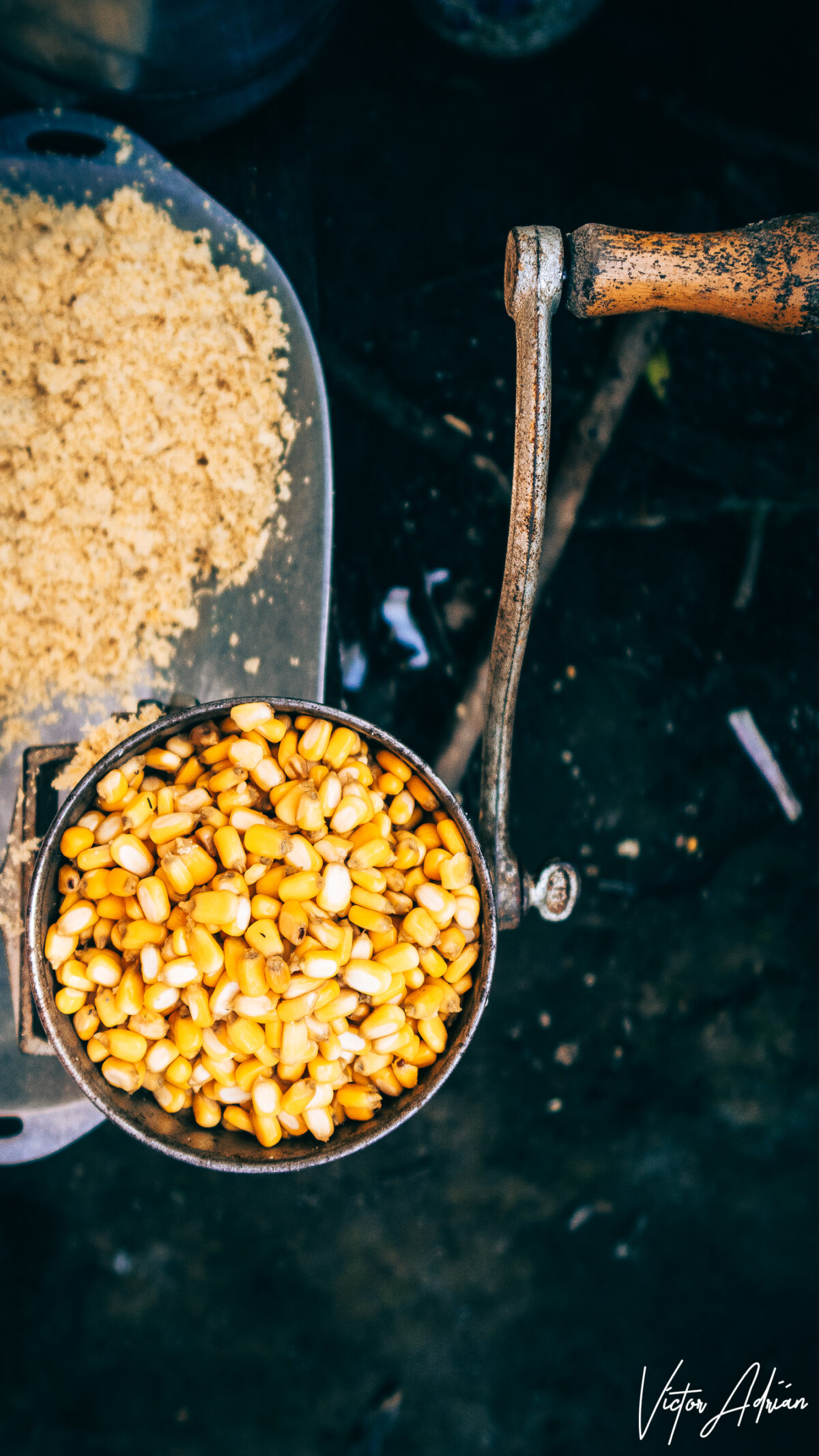 Vida de colores: Amarilla