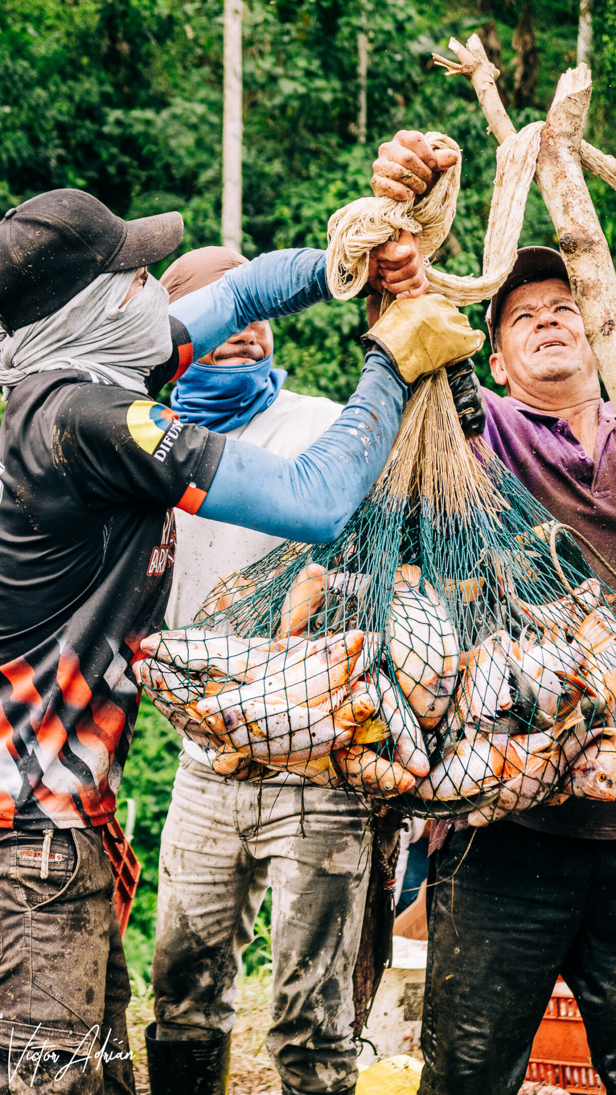Promesa para los hombres